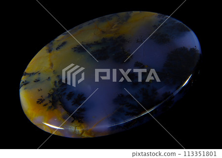 樹枝狀紫水晶鼠尾草瑪瑙承載風景的石頭 樹枝狀紫水晶鼠尾草瑪瑙承載風景的石頭 113351801