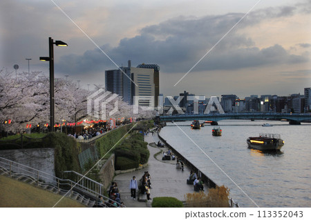 The cherry blossom-lined streets of Sumida River are crowded with people coming to see the cherry blossoms at night. The lights of the yakatabune boats are also captivating. 113352043