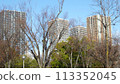 Trees and tower apartments: Japanese scenery 113352045