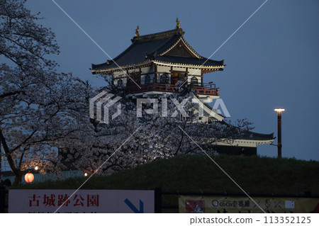 Cherry Blossom Festival Lanterns 113352125