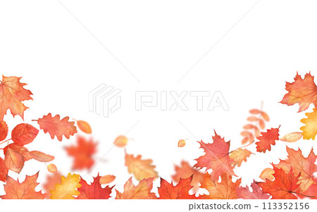 Autumn falling leaves on white background. Autumnal foliage fall and orange maple leaves flying in wind motion blur. Copy space Autumn falling leaves on white background. Autumnal foliage fall and orange maple leaves flying in wind motion blur. Copy space 113352156