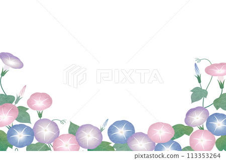 Morning glory frame 113353264