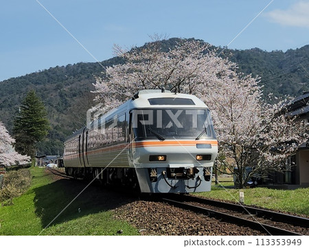 Cherry blossoms and the KTR8500 series Tango Relay train Cherry blossoms and the KTR8500 series Tango Relay train 113353949