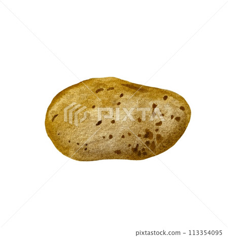 Potato lying tuber brown oval watercolor sketch Potato lying tuber brown oval watercolor sketch 113354095