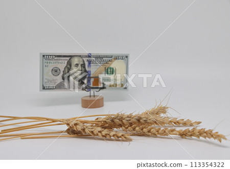 Dry ears nearby are banknotes, the global food crisis, grain exports, crop growth Dry ears nearby are banknotes, the global food crisis, grain exports, crop growth 113354322
