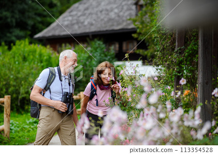 Active elderly couple on trip together, during spring day. Senior tourists visiting, exploring new places. Sightseeing, holding hands. Active elderly couple on trip together, during spring day. Senior tourists visiting, exploring new places. Sightseeing, holding hands. 113354528