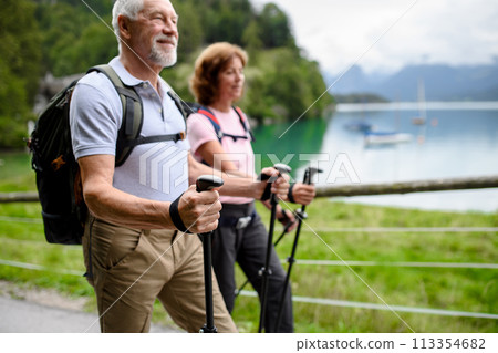 Portrait of active elderly couple hiking together in mountains. Senior tourists walking with trekking poles. Portrait of active elderly couple hiking together in mountains. Senior tourists walking with trekking poles. 113354682