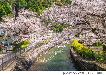 Yamashina Canal, a part of the Lake Biwa Canal in Yamashina District, Shiga, Japan 113354800