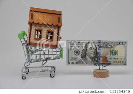 A toy grocery cart and a toy house stand next to a banknote on a stand, real estate purchase 113354849