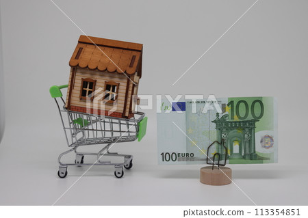 A toy grocery cart and a toy house stand next to a banknote on a stand, real estate purchase A toy grocery cart and a toy house stand next to a banknote on a stand, real estate purchase 113354851