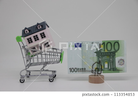 A toy grocery cart and a toy house stand next to a banknote on a stand, real estate purchase A toy grocery cart and a toy house stand next to a banknote on a stand, real estate purchase 113354853