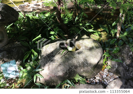 小津伽流山莊 小津伽流山莊 113355064