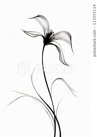 Black and white drawing of a flower Black and white drawing of a flower 113355114