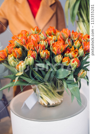 Colorful Parrot Tulips in Full Bloom on Display 113355281