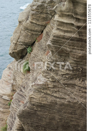 堂島，龜名岩展望台附近，伊豆半島地質公園，水下泥石流沉積層 113355678