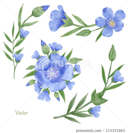 Beautiful Watercolor Flax Flowers - Spring Botanical Design 113355863