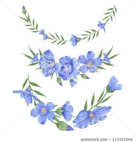 Beautiful Watercolor Flax Flowers - Spring Botanical Design Beautiful Watercolor Flax Flowers - Spring Botanical Design 113355866