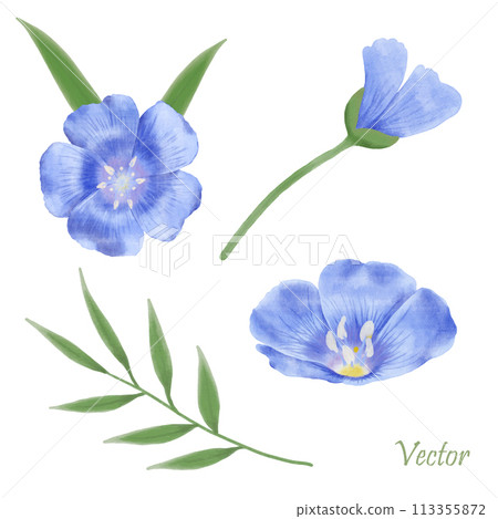 Beautiful Watercolor Flax Flowers - Spring Botanical Design Beautiful Watercolor Flax Flowers - Spring Botanical Design 113355872