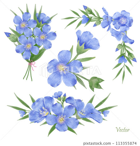 Beautiful Watercolor Flax Flowers - Spring Botanical Design Beautiful Watercolor Flax Flowers - Spring Botanical Design 113355874