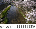Yu Yu（Tamaya Onsen）的櫻花樹 113356359