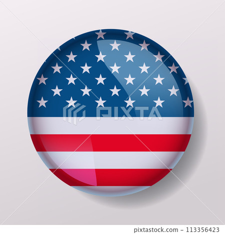 American United States flag in glossy round button of icon USA presidential election concept 113356423