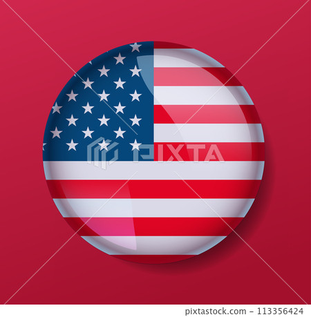 American United States flag in glossy round button of icon USA presidential election concept 113356424