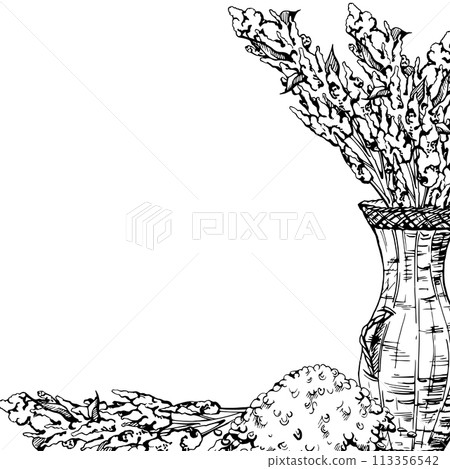 Hand drawn ink vector illustration, quinoa plant seeds, amaranth flower crop food farm grain cereal. Square frame isolated on white background. Design travel, brochure, print, cafe restaurant menu Hand drawn ink vector illustration, quinoa plant seeds, amaranth flower crop food farm grain cereal. Square frame isolated on white background. Design travel, brochure, print, cafe restaurant menu 113356542