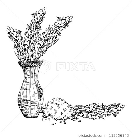 Hand drawn ink vector illustration, quinoa plant seeds, amaranth flower crop food farm agriculture. Composition isolated on white background. Design travel, brochure, print, cafe restaurant menu Hand drawn ink vector illustration, quinoa plant seeds, amaranth flower crop food farm agriculture. Composition isolated on white background. Design travel, brochure, print, cafe restaurant menu 113356543