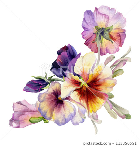 Hand drawn watercolor illustration victorian botanical flowers leaves. Pansy viola violet, ash maple keys seeds, green locust branch. Bouquet isolated on white background. Design wedding, love cards 113356551