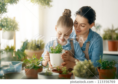 Family caring for plants Family caring for plants 113356769