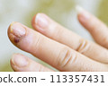 113357431