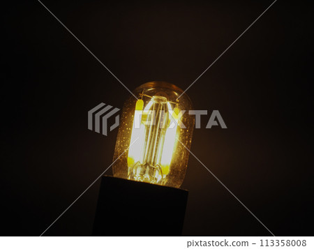 LED filament light bulb 113358008
