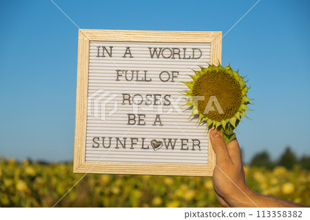 IN A WORLD FULL OF ROSES BE A SUNFLOWER text on white board next to sunflower field. Motivational caption inspirational quote. Be unique saying phrase humor concept. Sunny summer 113358382