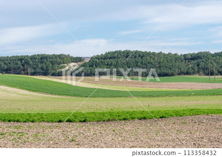 A field with a mix of green and brown grass. The field is surrounded by trees and has a peaceful, serene atmosphere. 113358432