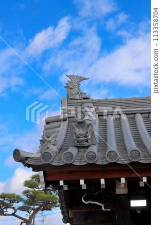 富田林市寺內町常國寺 富田林市寺內町常國寺 113358704