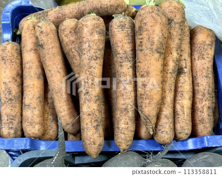 Fresh harvest carrots in box in vegetable garden. Autumn harvest top view. Close-up 113358811