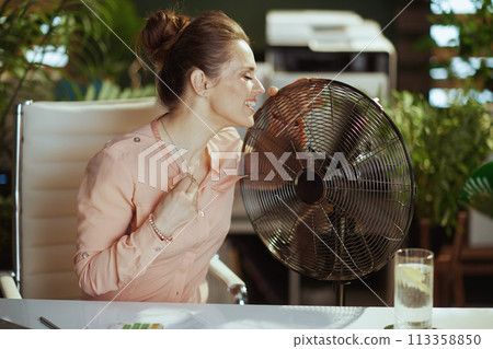 smiling modern accountant woman at work 113358850