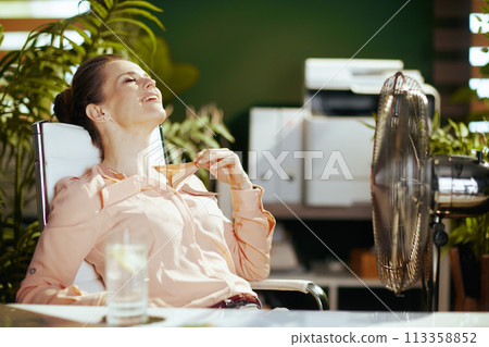 smiling modern woman employee at work 113358852