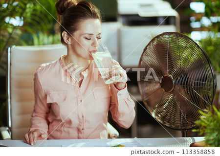 modern woman employee at work with electric fan modern woman employee at work with electric fan 113358858