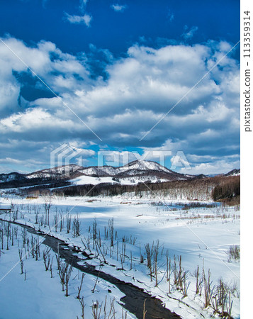 北方國家的景觀 113359314