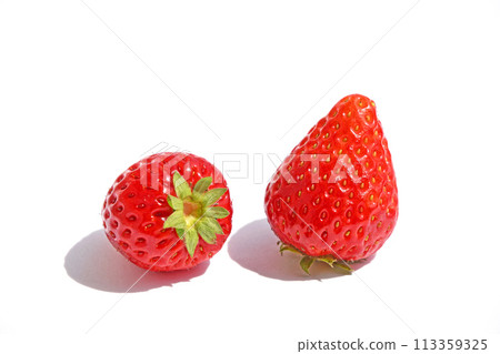 草莓(Tochiaika) 草莓(Tochiaika) 113359325