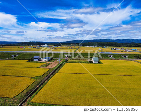北方國家的景觀 113359856