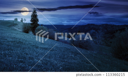 trees on the hill in spring at night. carpathian mountains with with grassy meadow in full moon light trees on the hill in spring at night. carpathian mountains with with grassy meadow in full moon light 113360215