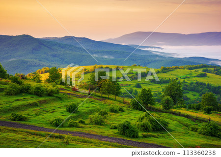 carpathian countryside scenery at dawn in summer. mountainous landscape of ukraine with grassy rural fields and meadows. fog in the distant valley 113360238