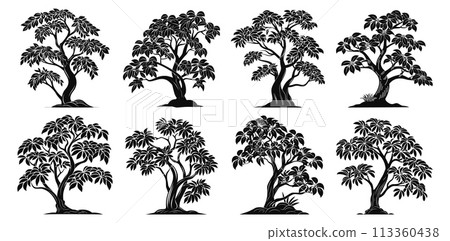 Southern tree silhouettes. Beautiful plants black art vector elements collection isolated on white background Southern tree silhouettes. Beautiful plants black art vector elements collection isolated on white background 113360438