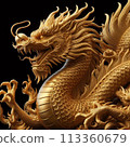 Dragon 113360679