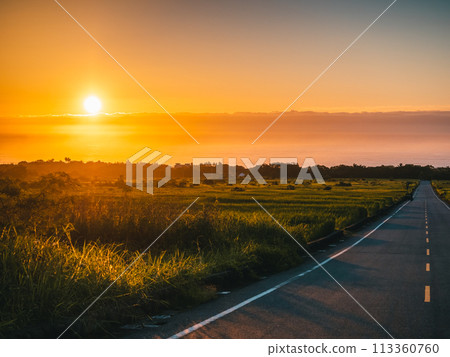 morning road leading to sunrise over sea 113360760