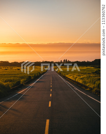 morning road leading to sunrise over sea morning road leading to sunrise over sea 113360762