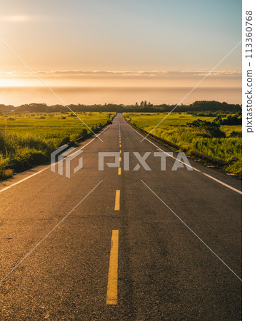 早晨通往海上日出的道路 113360768