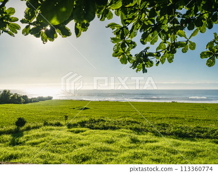 Green grassland farmland and seaside Green grassland farmland and seaside 113360774